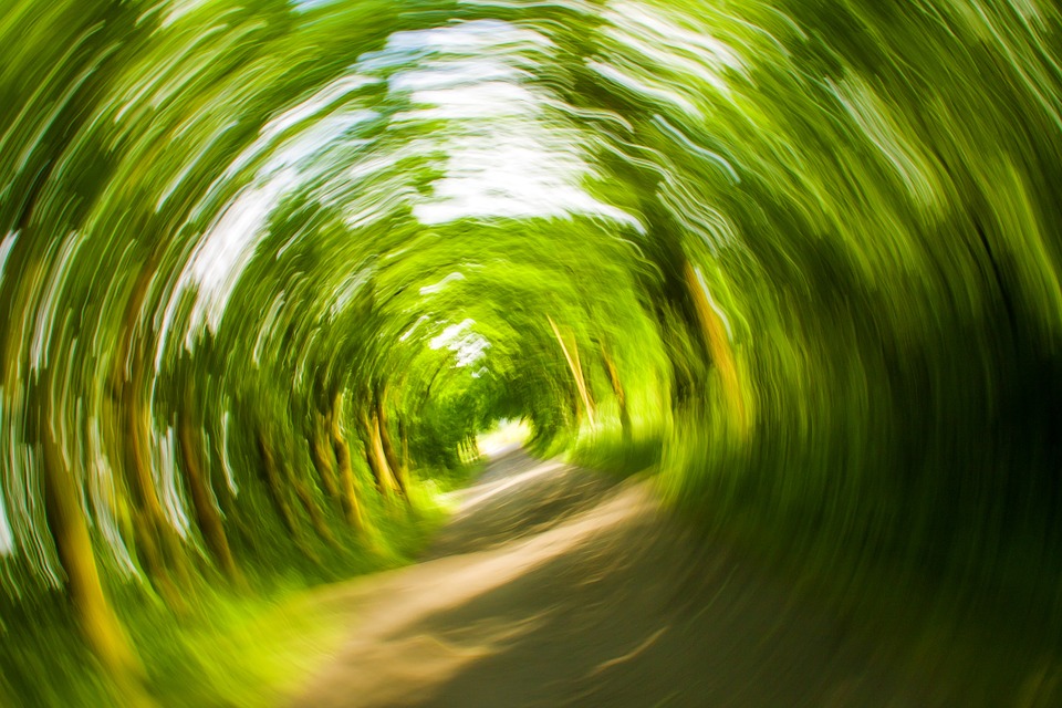 veralkohol-szint_pic2